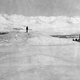 Image for article titled These Dogs are Honorary Geologists for Their Early Exploration of Alaska